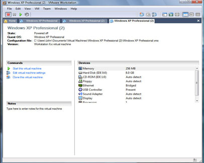 Guest virtual machine details window