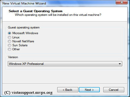 Selecting the guest operating system