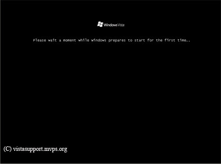 Please wait a moment while windows prepares to start for the first time