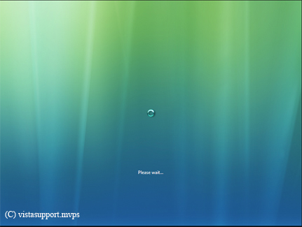 Windows Vista Boot Please Wait
