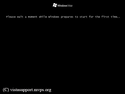 Please wait a moment while windows prepares to start for the first time